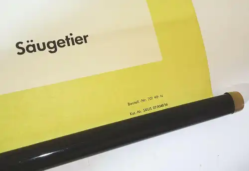 Vintage Rollkarte Entwicklung des Blutkreislaufs Medizin Lehrkarte Wandtafel 