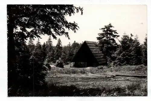 Ak Naturschutzgebiet Georgenfelder Hochmoor Altenberg Ost-Erzgebirge