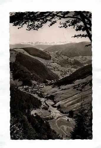 Foto Ak Höhenluftkurort und Wintersportplatz Todtnauberg Hochschwarzwald