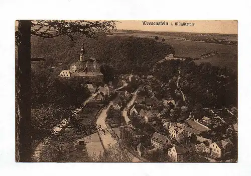 Ak Weesenstein i. Müglitztale Sachsen