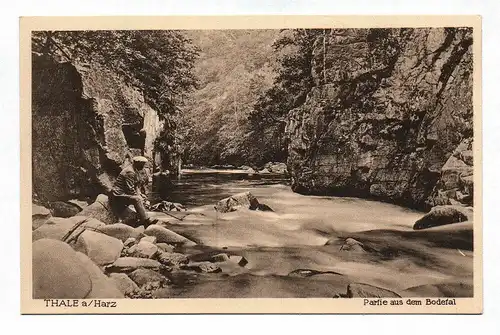 Ak Thale a/ Harz Partie aus dem Bodetal