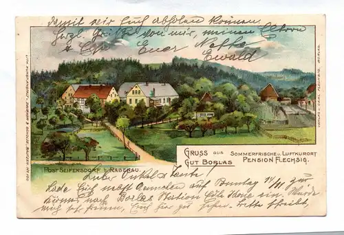 Ak Gruß aus Gut Borlas Sommerfrische u. Luftkurort Pension 1909