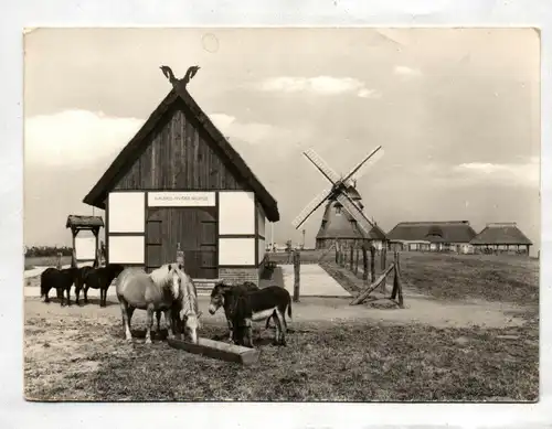 Ak Foto VEG Tierzucht Groß Stieten Wismar Gaststätte Mecklenburger Mühle