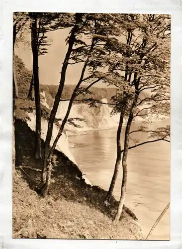 Ak Foto Insel Rügen Postkarte Kreideküste