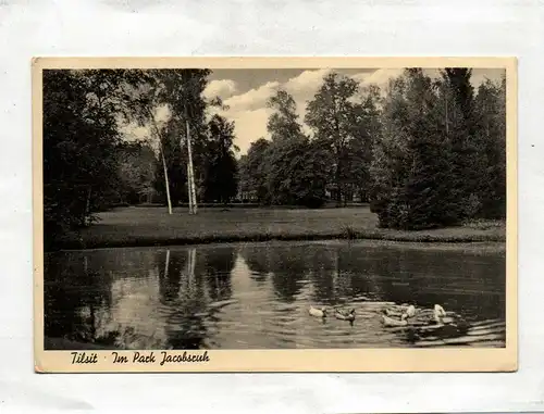 Ak Tilsit Im Park Jacobsruh 1940