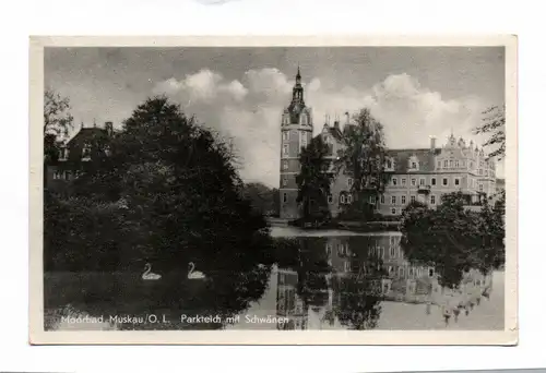 Ak Foto Moorbad Muskau/ O.L. Parkteich mit Schwänen Fürst-Pückler-Park DDR 1959