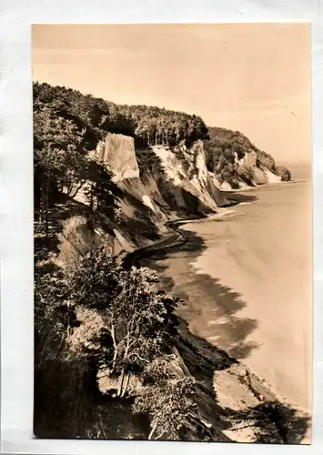 Ak Insel Rügen Kreide-Steilküste zwischen Saßnitz und Stubbenkammer