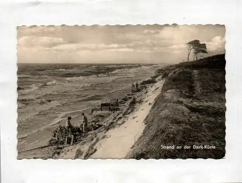 Ak Strand an der Darß-Küste DDR 1955