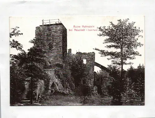 Ak Ruine Hohnstein bei Neustadt i. Süd-Harz.