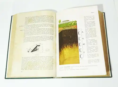 Vierweg / Rosenkranz - Handbuch des Genossenschafts Bauern 1954 ! (B3