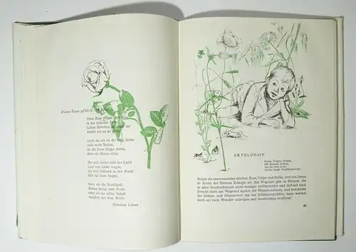 Abenteuer mit Blumen 1951 Elisabeth Schwarz Altberliner Verlag Lucie Groszer !