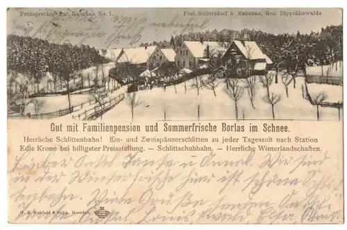 Litho Ak Gut Familienpension Borlas Klingenberg Seifersdorf Rabenau 1910 (A4212