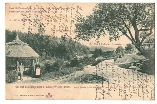 Litho Ak Gut Familienpension Borlas Klingenberg Seifersdorf Rabenau 1911 (A4211