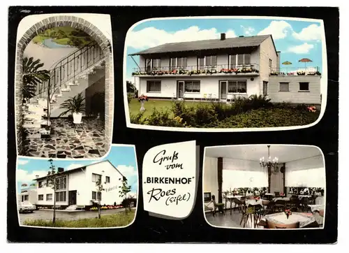 Ak Gruß vom Birkenhof Roes Eifel 1970