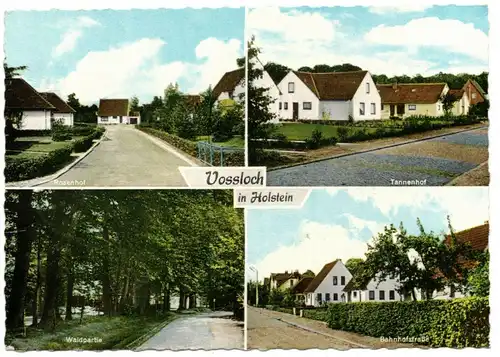 Ak Vossloch in Holstein Rosenhof Tannenhof Waldpartie Bahnhofstraße 1967