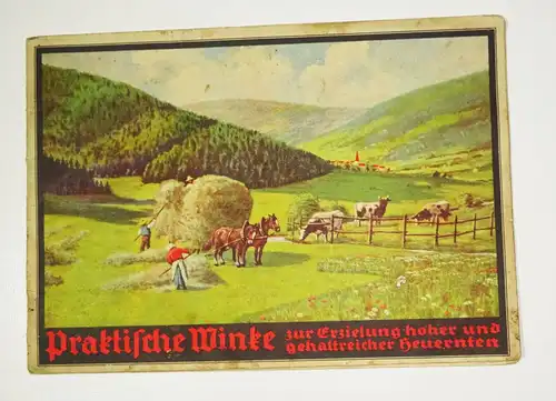 Broschüre Praktische Winke hohe gehaltreiche Heu Ernten Wiesen 1930er Viehfutter