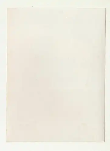 Foto Elbedampfer Raddampfer Elbe Sächsische Schweiz 1930er 