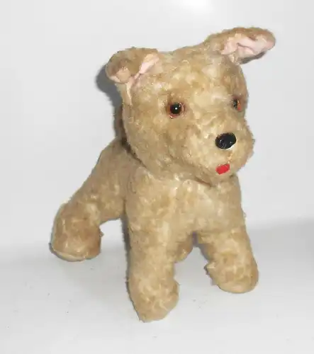 Alter Plüsch Hund dog Vintage Glasaugen Holzwolle 33 cm Foxi 1940er 1950er !