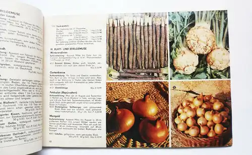 Katalog Versandhaus Samen und Pflanzen 1976 DDR Garten Sämereien Zwiebeln (H8