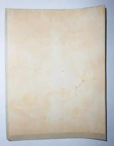 Adler Knöpfe 2 Pappen Haushalt Wäscheknöpfe Knopf 1930er Handarbeit Nähen