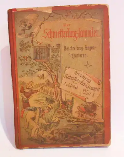 Der Schmetterlingssammler um 1885 A.u.G.Ortleb Beschreibung Präparieren (B2