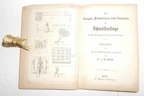 Der Schmetterlingssammler um 1885 A.u.G.Ortleb Beschreibung Präparieren (B2