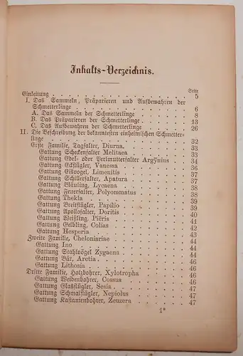 Der Schmetterlingssammler um 1885 A.u.G.Ortleb Beschreibung Präparieren (B2