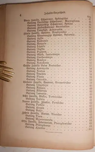 Der Schmetterlingssammler um 1885 A.u.G.Ortleb Beschreibung Präparieren (B2