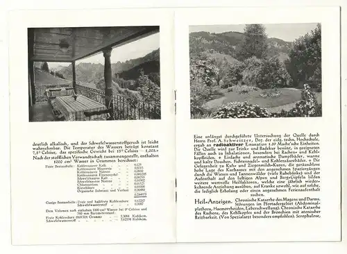 3 Prospekte Schweiz Swiss Kurlandschaft Toggenburg Rietbad Pension um 1930 (D8