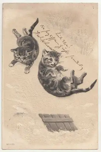 Präge Ak Katzen purzeln vom Dach No1123 Künstler sweet cats 1901  (A3394