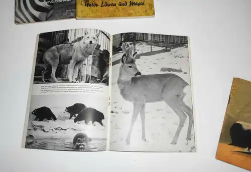 Der Zoodirektor erzählt DDR Zoo Dresden  Vögel unserer Wälder Konvolut