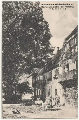 Ak Sommerfrische Hartmannmühle bei Geising um 1910 (A3340