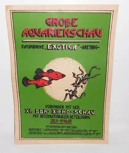 Plakat 1983 Aquarienschau Fachgruppe Exotica Bretnig DDR Xipho - Schau Fische