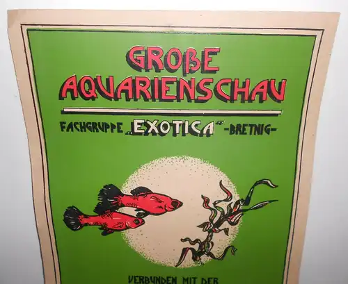 Plakat 1983 Aquarienschau Fachgruppe Exotica Bretnig DDR Xipho - Schau Fische