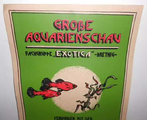 Plakat 1983 Aquarienschau Fachgruppe Exotica Bretnig DDR Xipho - Schau Fische 