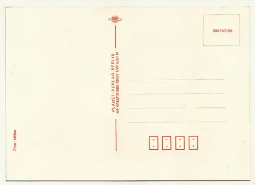 Sandmann Ak Herr Fuchs & kleiner Fuchs um 1980 DDR (A3023