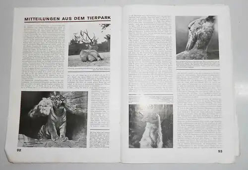 Carl Hagenbeck Illustrierte Tier und Menschenwelt 4 Heft 4 Jahrgang