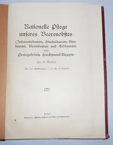 Rationelle Pflege unseres Beerenobstes um 1910 Fachbuch von R. Betten Garten !