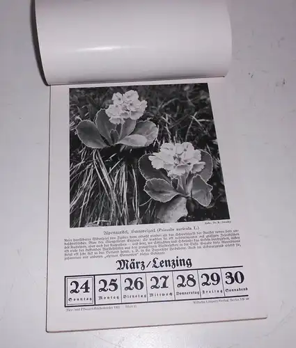 Tier und Pflanzen Bild Kalender 1936