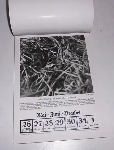 Tier und Pflanzen Bild Kalender 1936