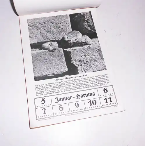 Limpert Bild Kalender für die deutsche Jugend 1930