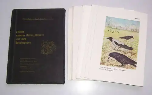 Feinde unserer Kulturpflanzen und ihre Bekämpfung Merkblätter Sammelmappe II