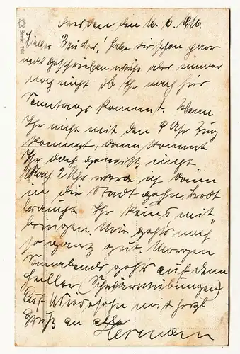 Künstler Ak Pferde Rassepferde 1916 WW1 ! (A2667