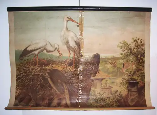 Rollkarte Schulkarte Storch Storchennest Perthes Gotha 1920er 1930er Wandbild