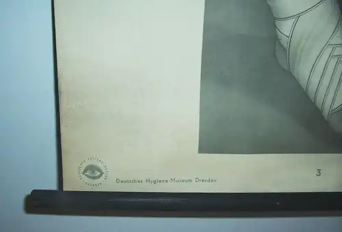 Rollkarte Lehrkarte  Bindenverbände II  Hygiene Museum Dresden deko vintage 