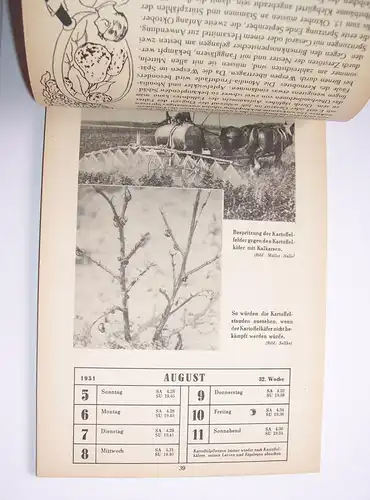 Alter Kalender Pflanzenschutz im Wechsel der Jahreszeiten 1951 Garten Gärtner