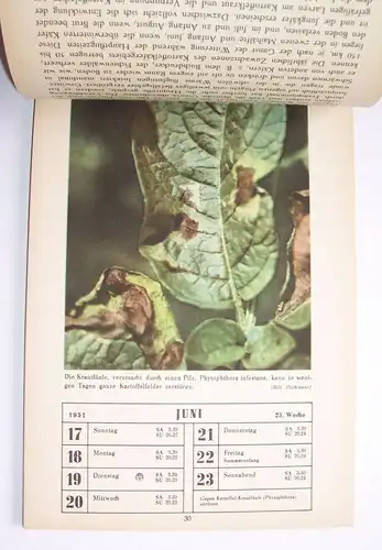 Alter Kalender Pflanzenschutz im Wechsel der Jahreszeiten 1951 Garten Gärtner