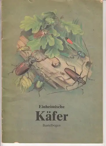 Einheimische Käfer Bastelbogen 1989 Verlag Junge Welt Berlin !