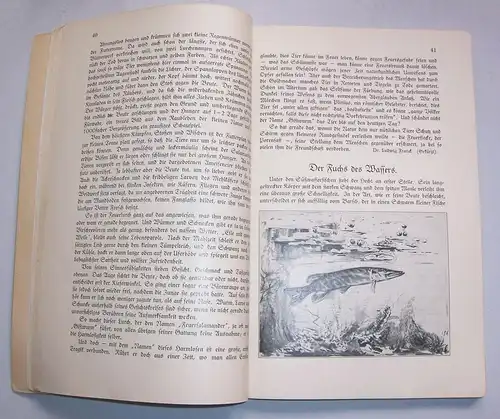 Ferdinand Hirt s Sachlesebuch III Teil Naturkunde 1927 Schulbuch