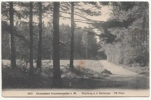 Ak Ostseebad Brunshaupten i. M. Waldweg a.d.Rehwiese Kühlungsborn Rostock 1920